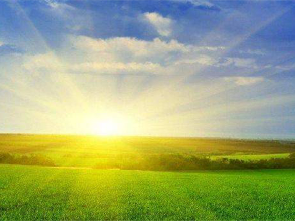 2020H1，錦州陽(yáng)光戮力同心、運(yùn)營(yíng)達(dá)滿(mǎn)產(chǎn)