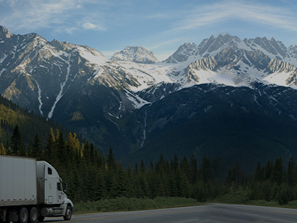 打造綠色典范工程！陽(yáng)光能源助力中廣核新能源吉林白城項(xiàng)目順利開(kāi)工